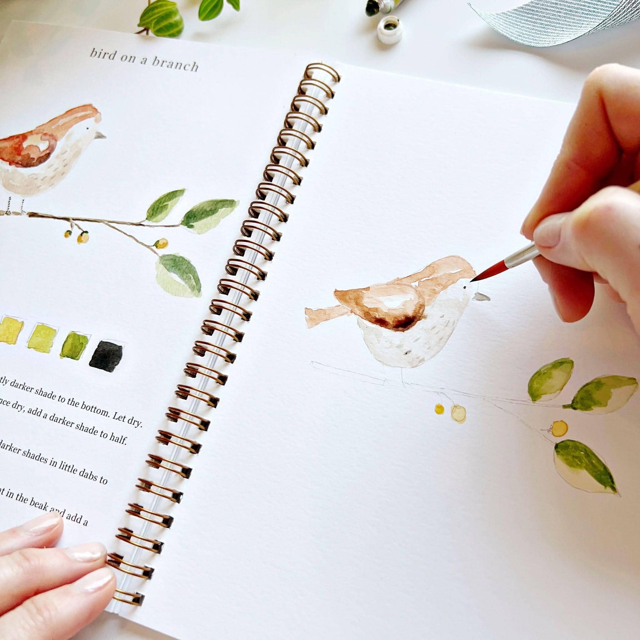 Watercolor Workbook – emily lex studio Animals – 12 Projects, Step-by-Step