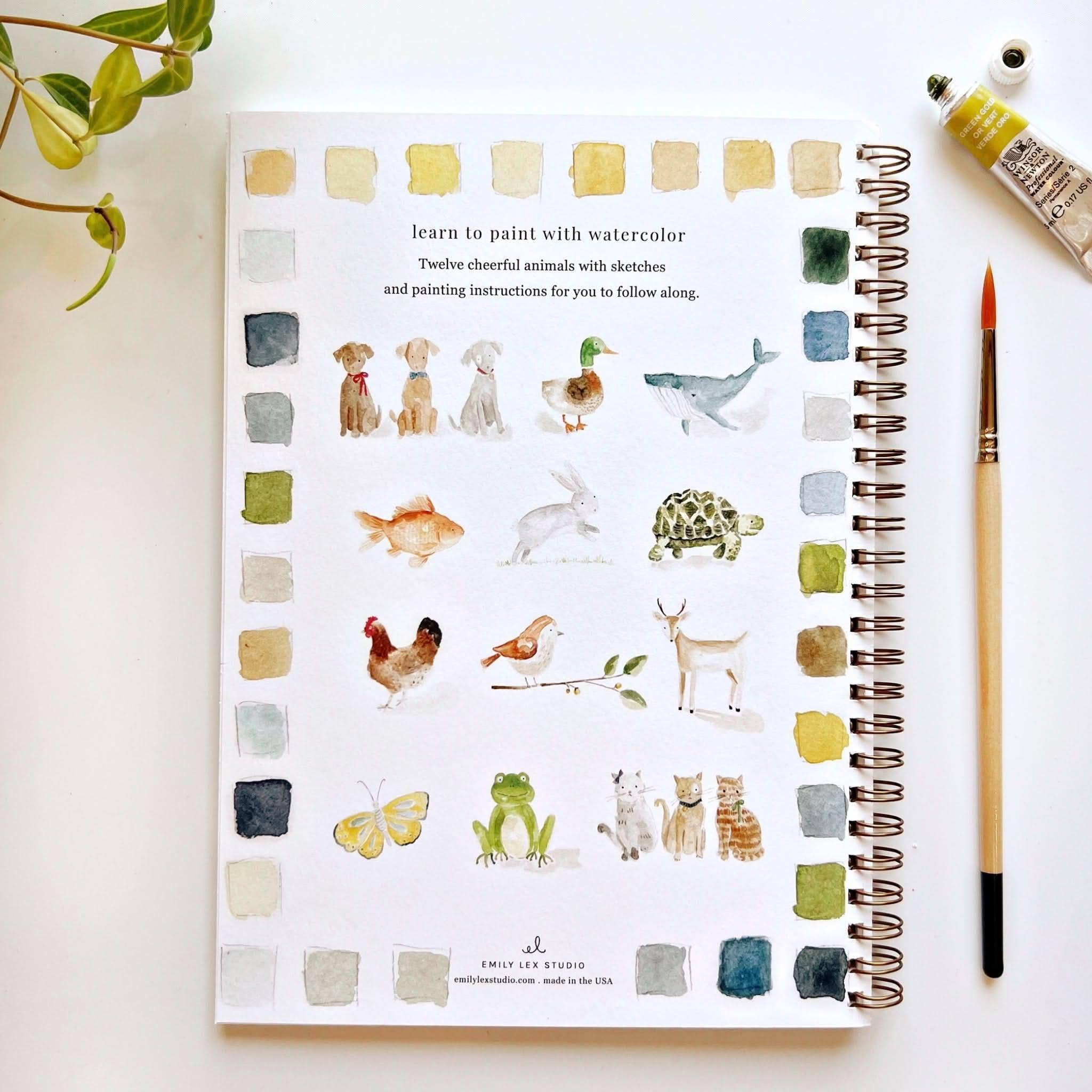 Watercolor Workbook – emily lex studio Animals – 12 Projects, Step-by-Step