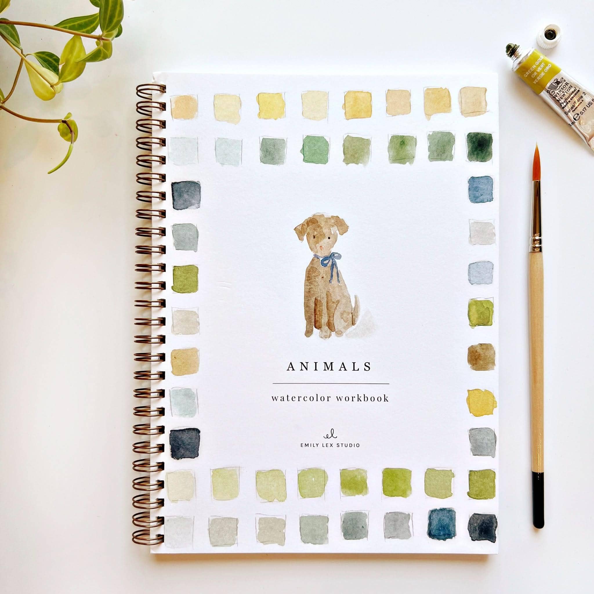 Watercolor Workbook – emily lex studio Animals – 12 Projects, Step-by-Step