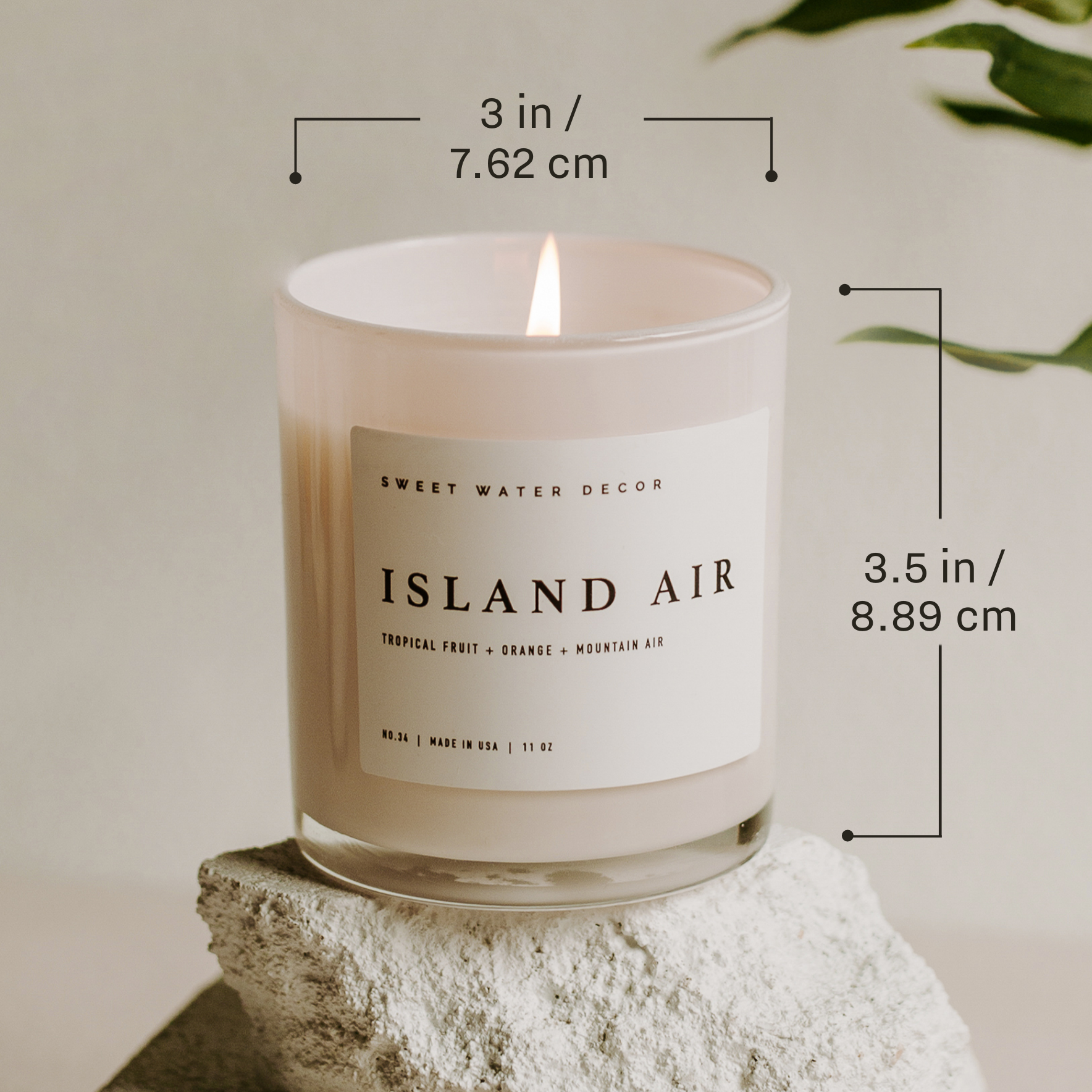 Soy Candle – Salt and Sea – 11 oz, 50+ Hour Burn, Coastal Scent